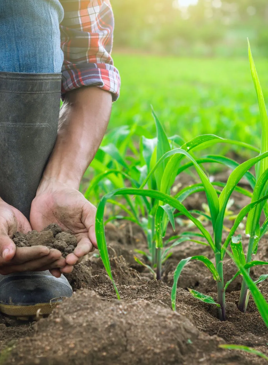 Sustainable Farming Practices